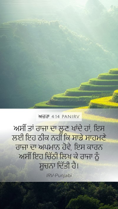 ਅਜ਼ਰਾ 4:14 PANIRV Mobile Phone Wallpaper - ਅਸੀਂ ਤਾਂ ਰਾਜਾ ਦਾ - Mobile Bible Verse Wallpaper