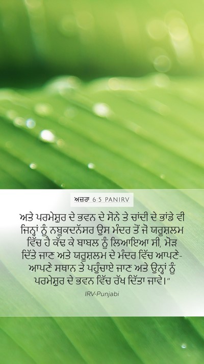 ਅਜ਼ਰਾ 6:5 PANIRV Bible Verse Image