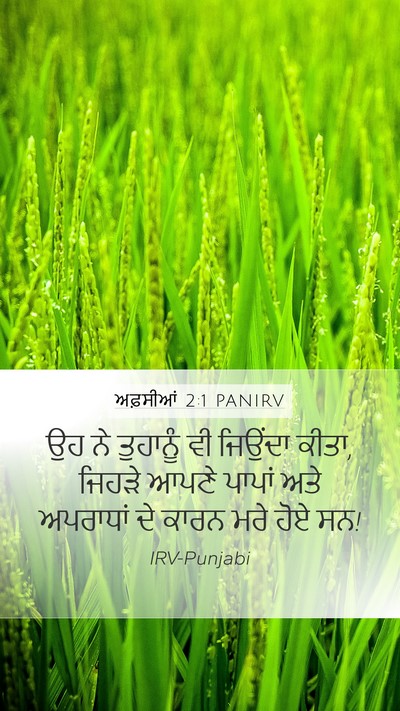 ਅਫ਼ਸੀਆਂ 2:1 PANIRV Bible Verse Image