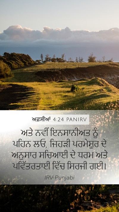 ਅਫ਼ਸੀਆਂ 4:24 PANIRV Bible Verse Image