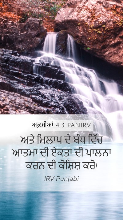 ਅਫ਼ਸੀਆਂ 4:3 PANIRV Bible Verse Image