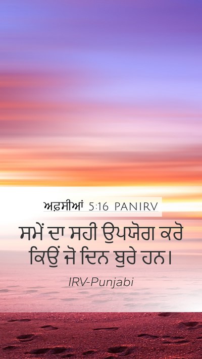 ਅਫ਼ਸੀਆਂ 5:16 PANIRV Bible Verse Image