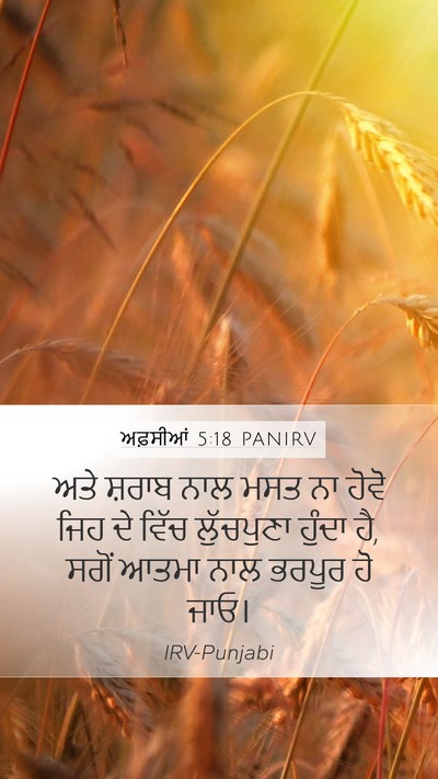 ਅਫ਼ਸੀਆਂ 5:18 PANIRV Bible Verse Image
