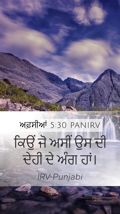 ਅਫ਼ਸੀਆਂ 5:30 PANIRV Bible Verse Image