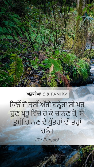 ਅਫ਼ਸੀਆਂ 5:8 PANIRV Bible Verse Image