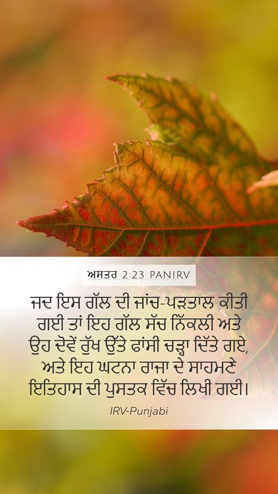 ਅਸਤਰ 2:23 PANIRV Bible Verse Image