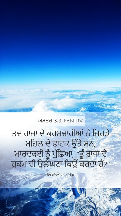 ਅਸਤਰ 3:3 PANIRV Mobile Phone Wallpaper - ਤਦ ਰਾਜਾ ਦੇ - Mobile Bible Verse Wallpaper