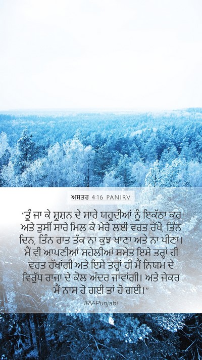 ਅਸਤਰ 4:16 PANIRV Bible Verse Image