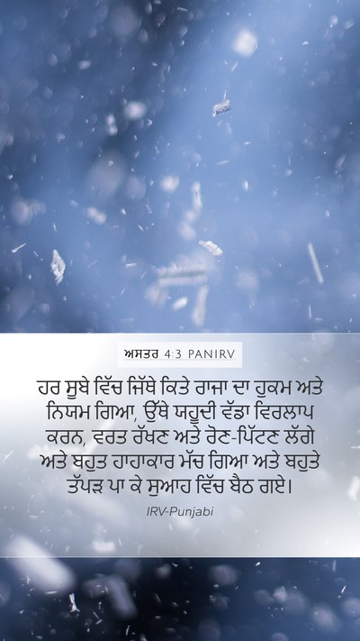 ਅਸਤਰ 4:3 PANIRV Bible Verse Image