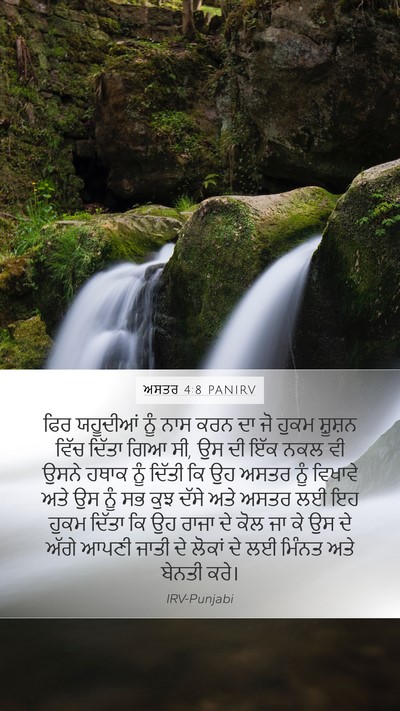 ਅਸਤਰ 4:8 PANIRV Bible Verse Image