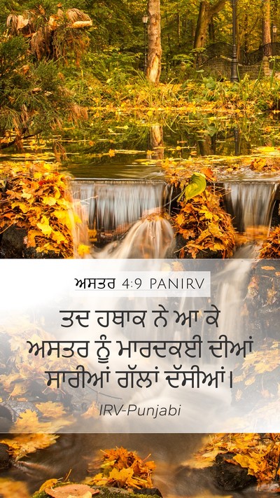 ਅਸਤਰ 4:9 PANIRV Mobile Phone Wallpaper - ਤਦ ਹਥਾਕ ਨੇ ਆ ਕੇ - Mobile Bible Verse Wallpaper