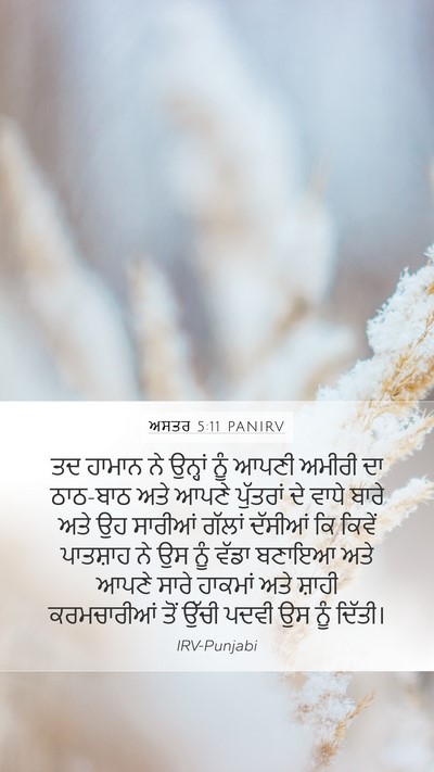 ਅਸਤਰ 5:11 PANIRV Bible Verse Image