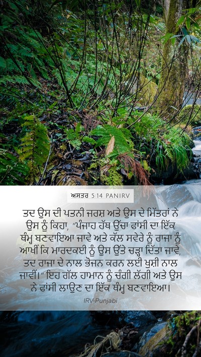 ਅਸਤਰ 5:14 PANIRV Bible Verse Image