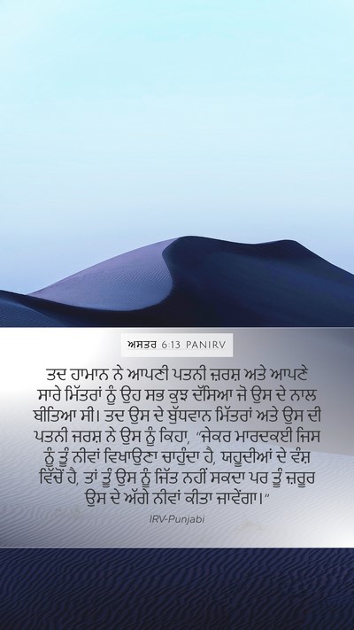 ਅਸਤਰ 6:13 PANIRV Bible Verse Image