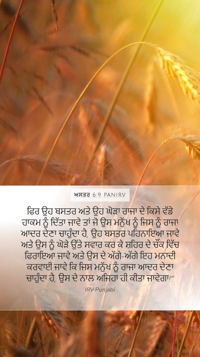 ਅਸਤਰ 6:9 PANIRV Bible Verse Image
