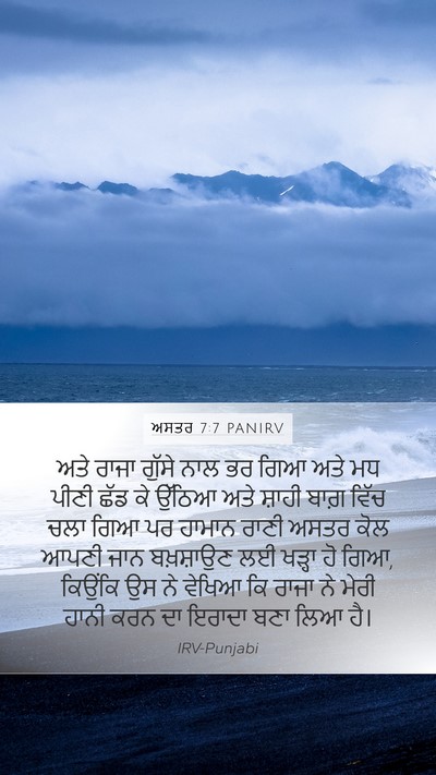 ਅਸਤਰ 7:7 PANIRV Bible Verse Image