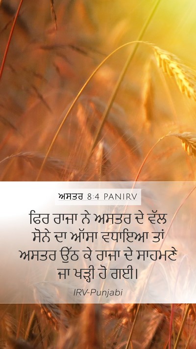 ਅਸਤਰ 8:4 PANIRV Bible Verse Image