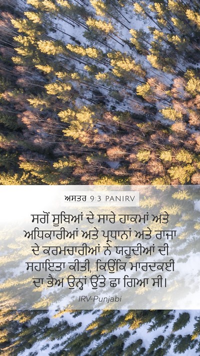 ਅਸਤਰ 9:3 PANIRV Mobile Phone Wallpaper - ਸਗੋਂ ਸੂਬਿਆਂ ਦੇ - Mobile Bible Verse Wallpaper