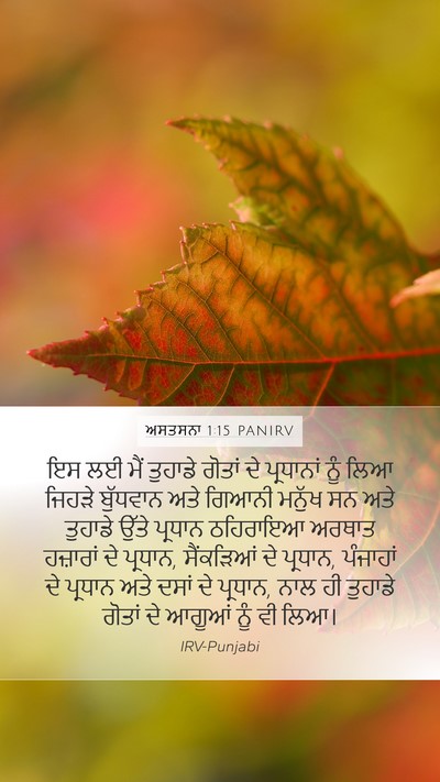 ਅਸਤਸਨਾ 1:15 PANIRV Bible Verse Image