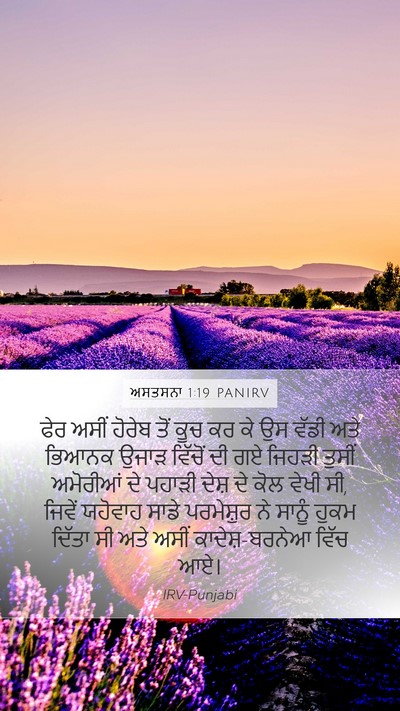 ਅਸਤਸਨਾ 1:19 PANIRV Bible Verse Image