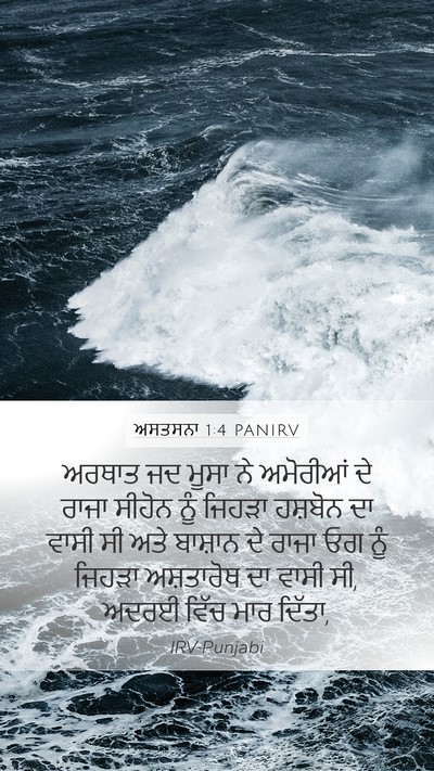 ਅਸਤਸਨਾ 1:4 PANIRV Bible Verse Image