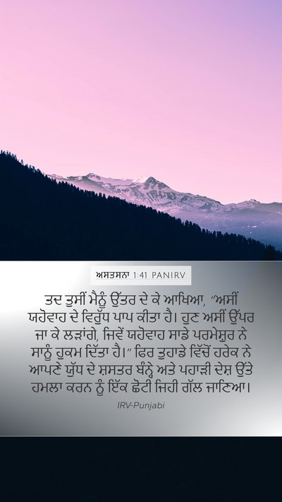 ਅਸਤਸਨਾ 1:41 PANIRV Bible Verse Image