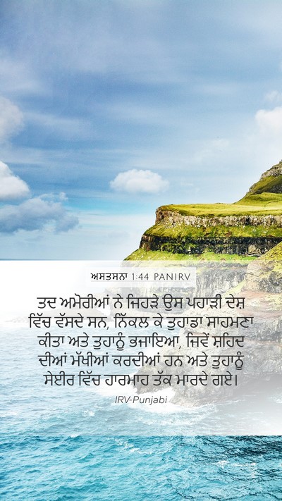 ਅਸਤਸਨਾ 1:44 PANIRV Bible Verse Image