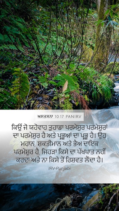ਅਸਤਸਨਾ 10:17 PANIRV Bible Verse Image