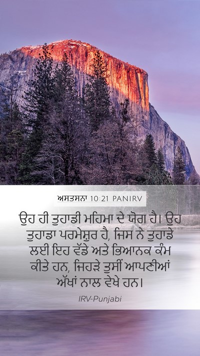 ਅਸਤਸਨਾ 10:21 PANIRV Bible Verse Image