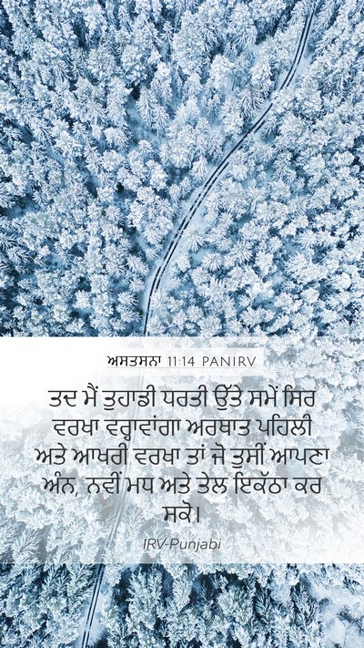 ਅਸਤਸਨਾ 11:14 PANIRV Bible Verse Image