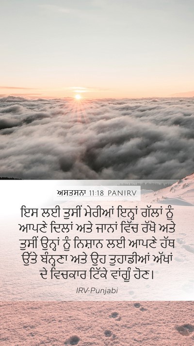 ਅਸਤਸਨਾ 11:18 PANIRV Bible Verse Image