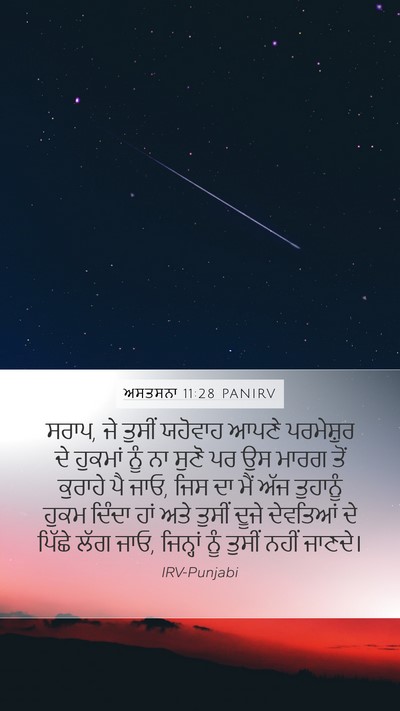 ਅਸਤਸਨਾ 11:28 PANIRV Bible Verse Image