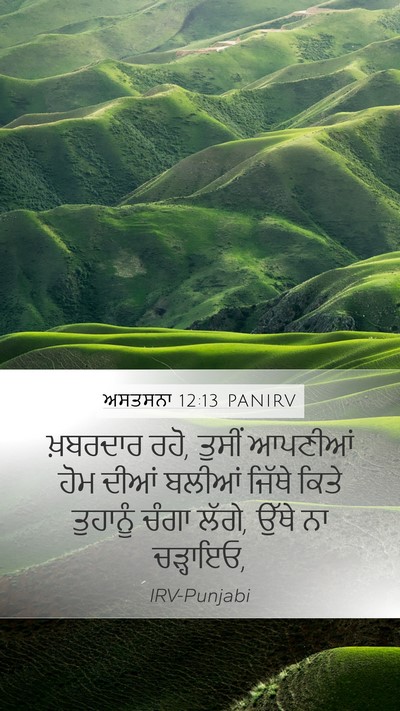 ਅਸਤਸਨਾ 12:13 PANIRV Bible Verse Image