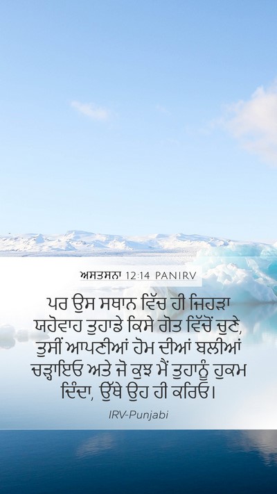 ਅਸਤਸਨਾ 12:14 PANIRV Bible Verse Image