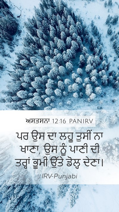 ਅਸਤਸਨਾ 12:16 PANIRV Bible Verse Image