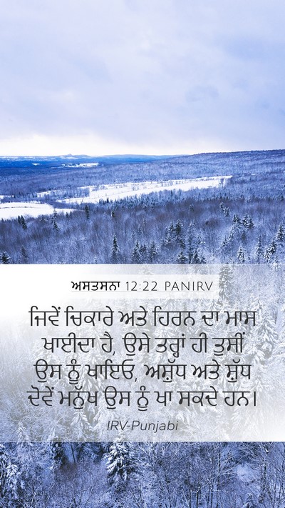 ਅਸਤਸਨਾ 12:22 PANIRV Mobile Phone Wallpaper - ਜਿਵੇਂ ਚਿਕਾਰੇ ਅਤੇ - Mobile Bible Verse Wallpaper