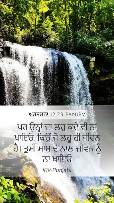 ਅਸਤਸਨਾ 12:23 PANIRV Mobile Phone Wallpaper - ਪਰ ਉਨ੍ਹਾਂ ਦਾ ਲਹੂ - Mobile Bible Verse Wallpaper