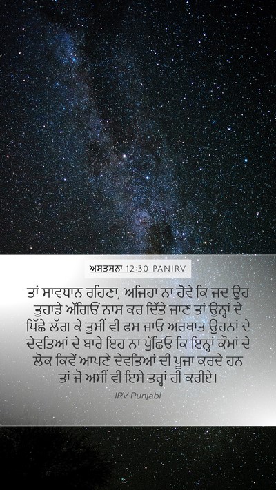 ਅਸਤਸਨਾ 12:30 PANIRV Bible Verse Image