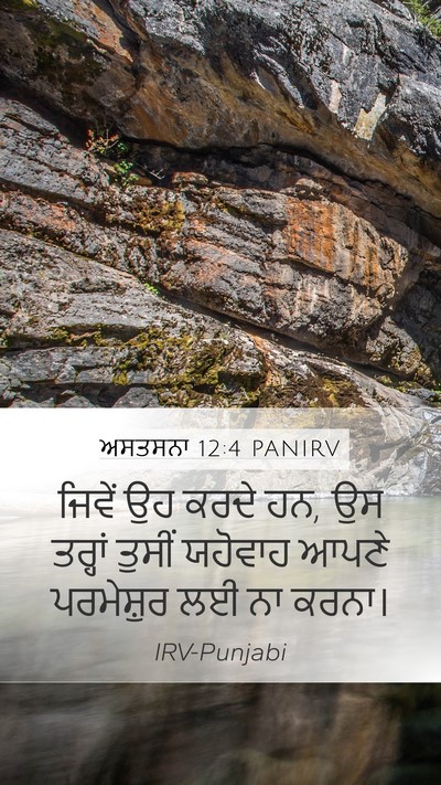 ਅਸਤਸਨਾ 12:4 PANIRV Mobile Phone Wallpaper - ਜਿਵੇਂ ਉਹ ਕਰਦੇ ਹਨ, - Mobile Bible Verse Wallpaper