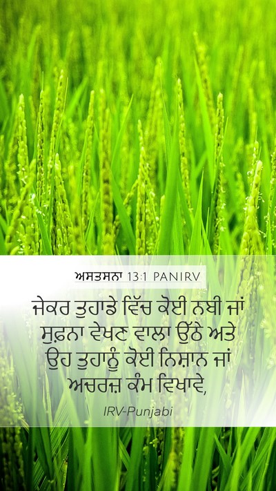 ਅਸਤਸਨਾ 13:1 PANIRV Bible Verse Image