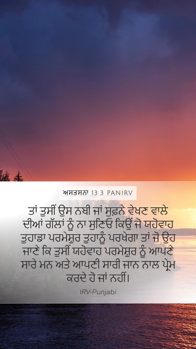 ਅਸਤਸਨਾ 13:3 PANIRV Bible Verse Image