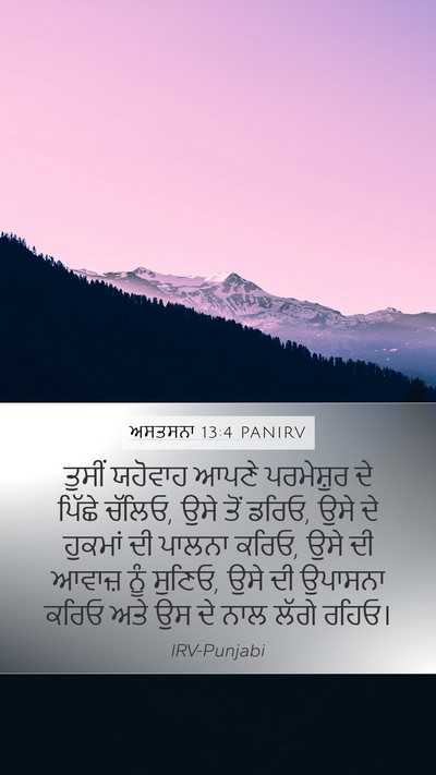 ਅਸਤਸਨਾ 13:4 PANIRV Bible Verse Image