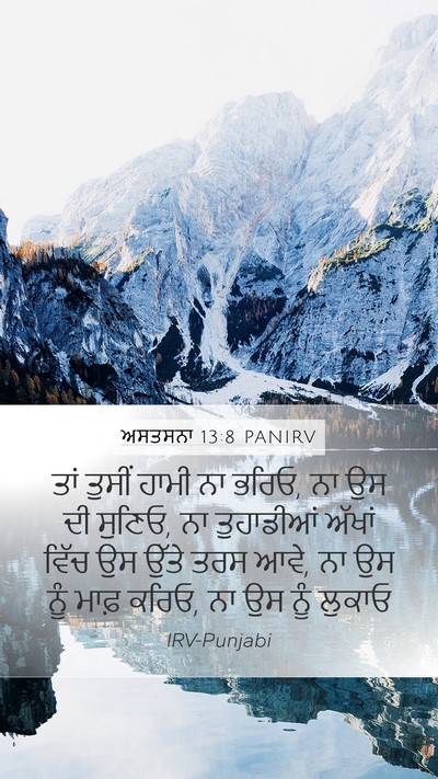 ਅਸਤਸਨਾ 13:8 PANIRV Bible Verse Image