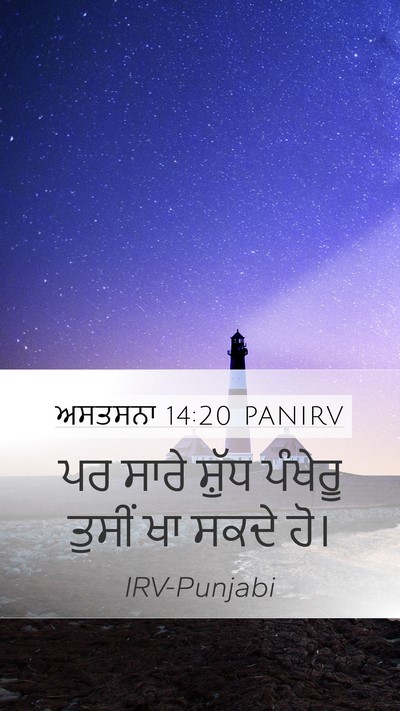 ਅਸਤਸਨਾ 14:20 PANIRV Mobile Phone Wallpaper - ਪਰ ਸਾਰੇ ਸ਼ੁੱਧ - Mobile Bible Verse Wallpaper