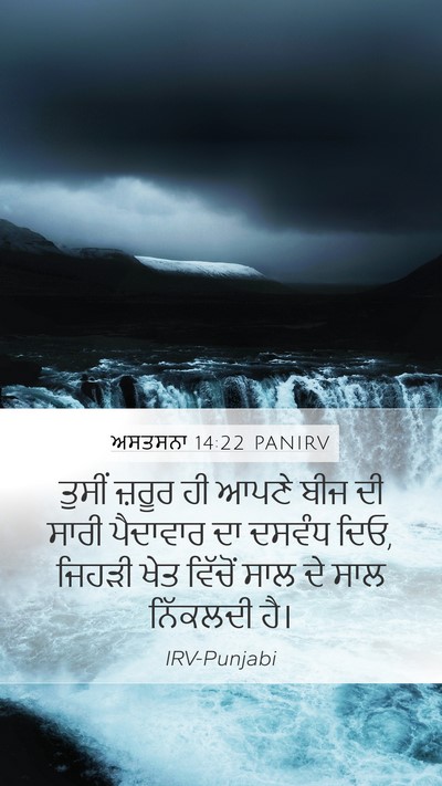 ਅਸਤਸਨਾ 14:22 PANIRV Bible Verse Image