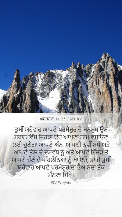ਅਸਤਸਨਾ 14:23 PANIRV Bible Verse Image