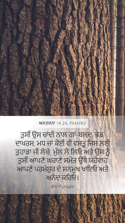ਅਸਤਸਨਾ 14:26 PANIRV Bible Verse Image
