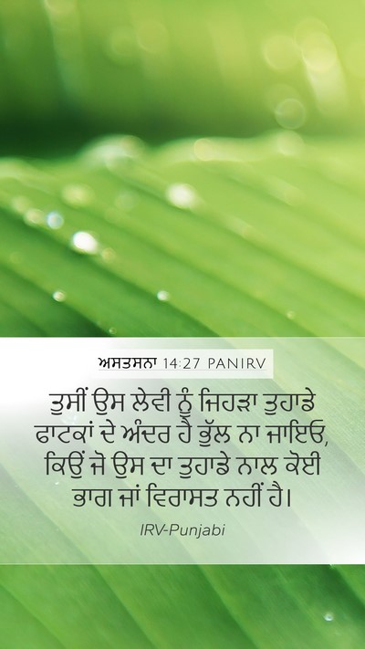 ਅਸਤਸਨਾ 14:27 PANIRV Bible Verse Image