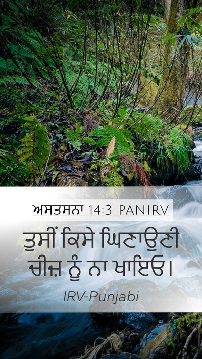 ਅਸਤਸਨਾ 14:3 PANIRV Bible Verse Image