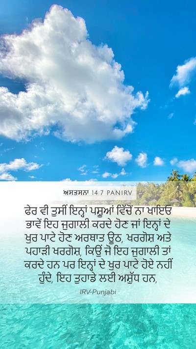 ਅਸਤਸਨਾ 14:7 PANIRV Bible Verse Image